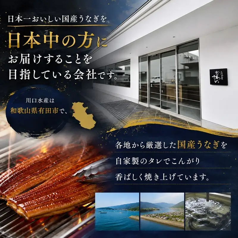 国産うなぎ  蒲焼き 4～6尾セット(合計600g) タレ付き 国産 うなぎ ウナギ 鰻 蒲焼 かば焼き セット 惣菜 冷凍 土用