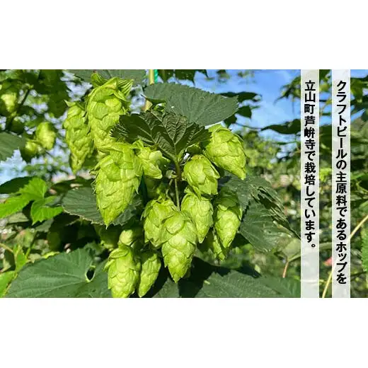 ASHIKURAJI Craft Beer 詰合せ AKATOTTO（350ml）伯鷹（350ml）立山之主（350ml）3本セット クラフトビール 地ビール お酒 アルコール飲料 富山県 立山町 芦峅寺 F6T-957