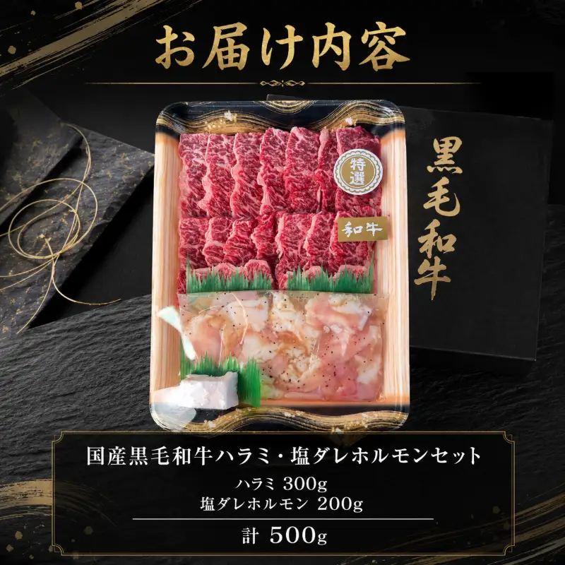 国産黒毛和牛 ハラミ・塩ダレホルモンセット計500g 肉 国産 阿波牛