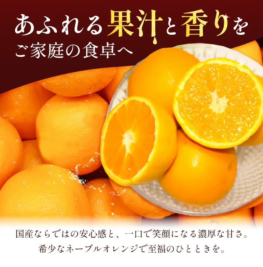 国産ネーブルオレンジ 5kg エイワ商店 オレンジ