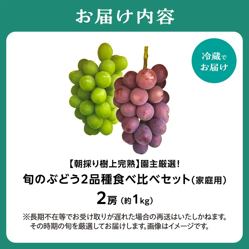 【朝採り樹上完熟】園主厳選！旬のぶどう2品種食べ比べセット フルーツ 103-01