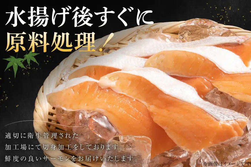 訳あり サーモン ハラス 鮭 切身 骨取り 1.5kg 