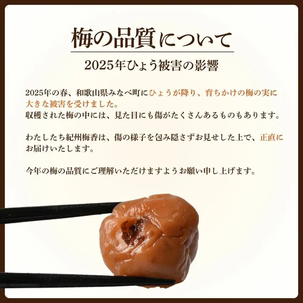 【訳あり】【白干し梅】無添加梅干し ひょう被害エール規格外昔ながらの梅干し 塩のみで漬けたすっぱい梅干し 1kg（500gパックx2個）塩分20% 20-HYO baiko017 ［KU13］ 【baiko017】