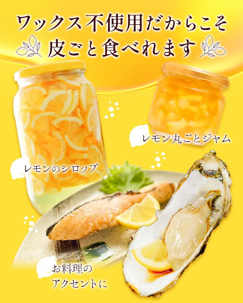 国産レモン サイズ混合 3kg エイワ商店 檸檬 レモン