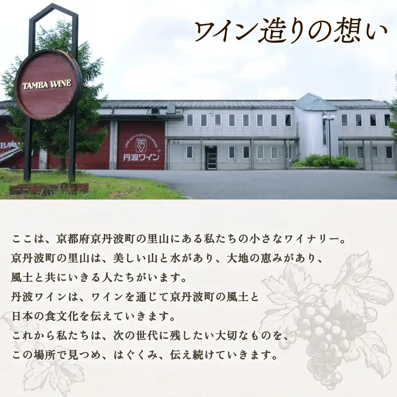 丹波ワイン スパークリングワイン  白赤飲み比べ 750ml 2本 セット ワイン 