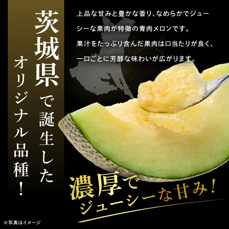 【先行予約】【2027年5月より順次発送】完熟 メロン イバラキング 2玉 │ 3kg フルーツ 産地直送 高級 贈答用 （CK002）