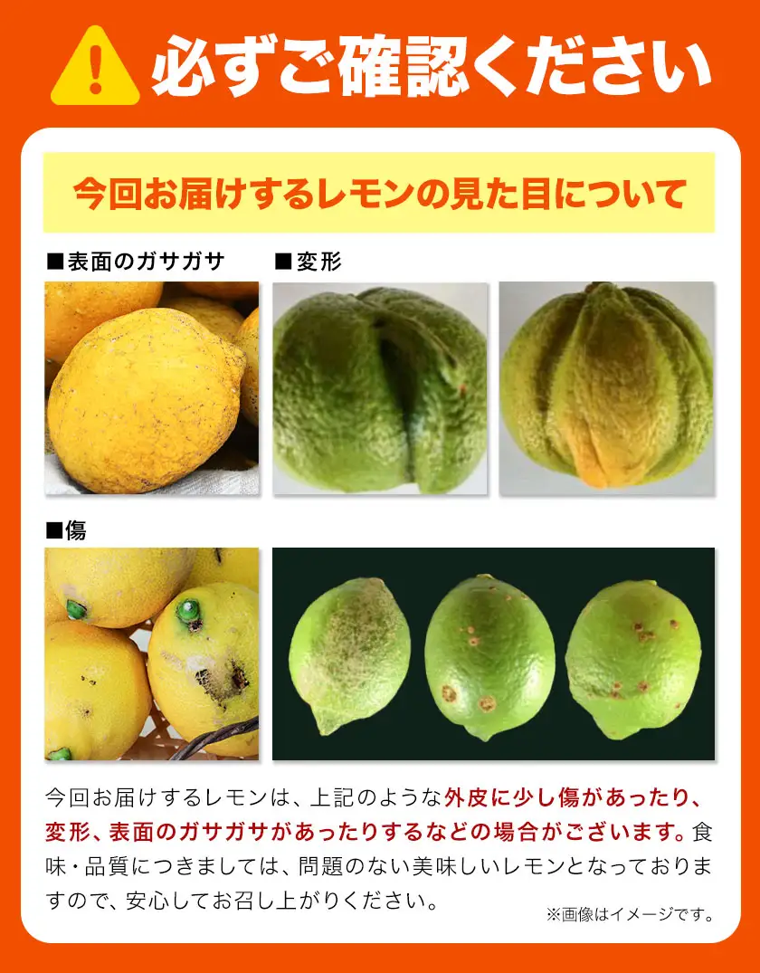 訳あり 国産 レモン サイズ混合 3kg エイワ商店 檸檬 レモン