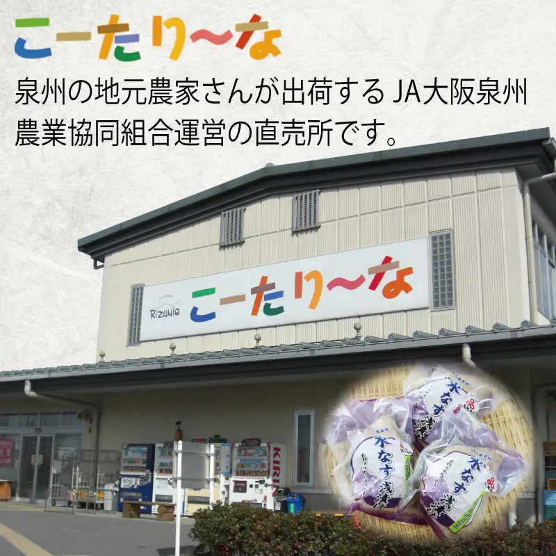 泉州 水なす浅漬け（4個入り）