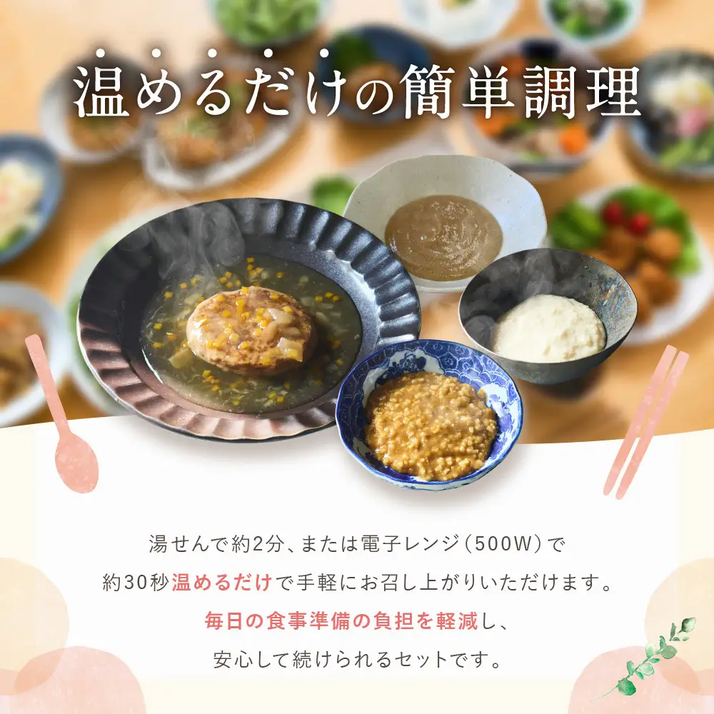 介護食 やわらか食 メインセット 鶏のムース/鶏のカレー粥/煮込みハンバーグ/白身魚のムース 各5個｜レトルト 介護食品
