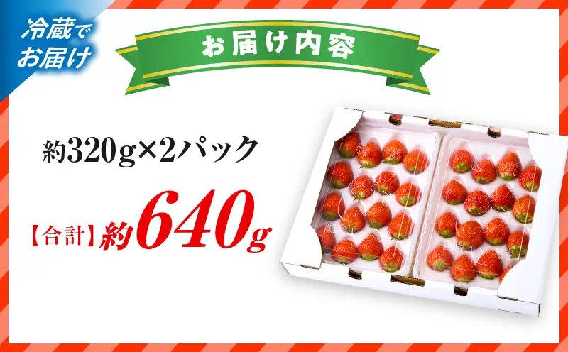 【先行予約】苺音エコノミーハーフ ～気軽に楽しむさぬきひめいちご～ 約640g | おすすめ 人気 果実 果肉 果物 フルーツ デザート 贈り物 苺 さぬきひめ 贈答 ご褒美 ギフト 旬の果物 季節の果物 旬 季節 青果物 香川県 三木町 |_mk137-009