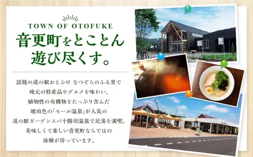 【10ヶ月定期便】ゆきしずか納豆 3段×12個セット【D36】 合計360食分 なっとう 大豆 朝食