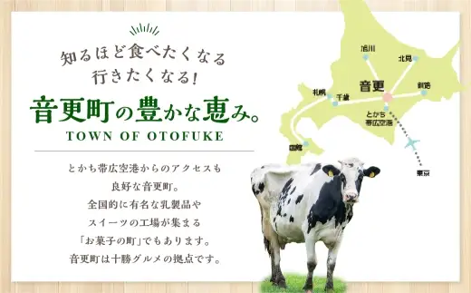 【ふるなび限定】【12ヶ月定期便】ゆきしずか納豆 3段×12個セット【D38】 合計432食分 なっとう 大豆 朝食