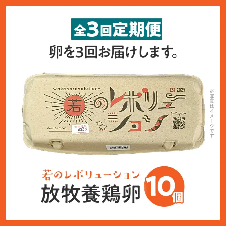 卵 定期便 3回 放牧養鶏卵 10個 「破損補償2個含」 3ヶ月間 若のレボリューション 卵 ※北海道・沖縄・離島は配送不可