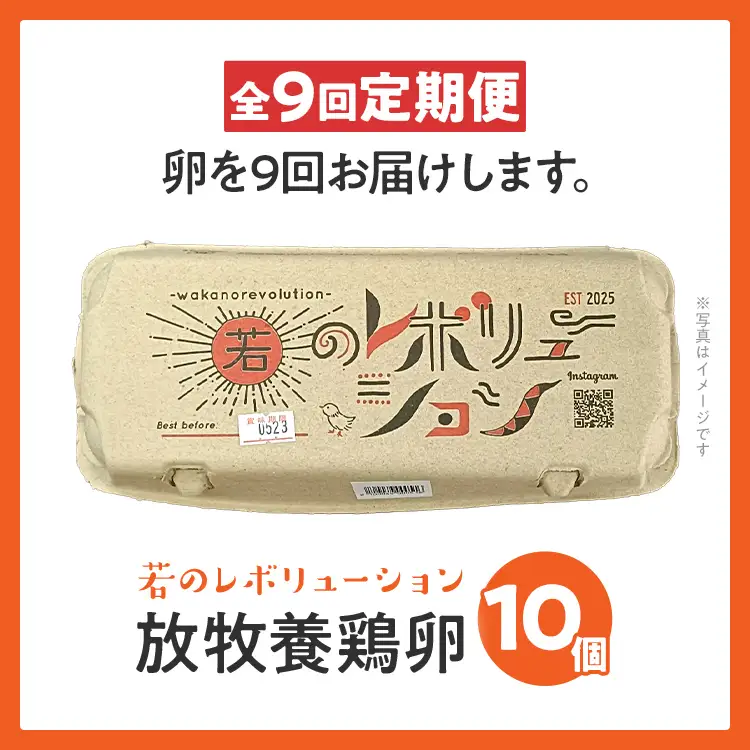 卵 定期便 9回 放牧養鶏卵 10個 「破損補償2個含」 9ヶ月間 若のレボリューション 卵 ※北海道・沖縄・離島は配送不可