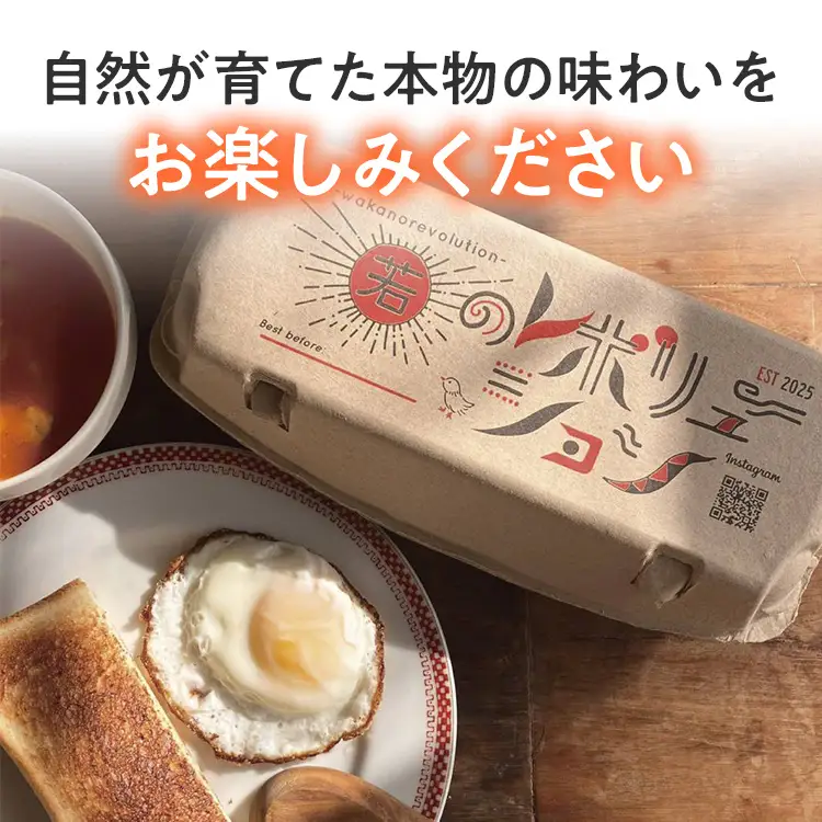 卵 放牧養鶏卵 20個 「破損補償2個含」 若のレボリューション 卵 ※北海道・沖縄・離島は配送不可