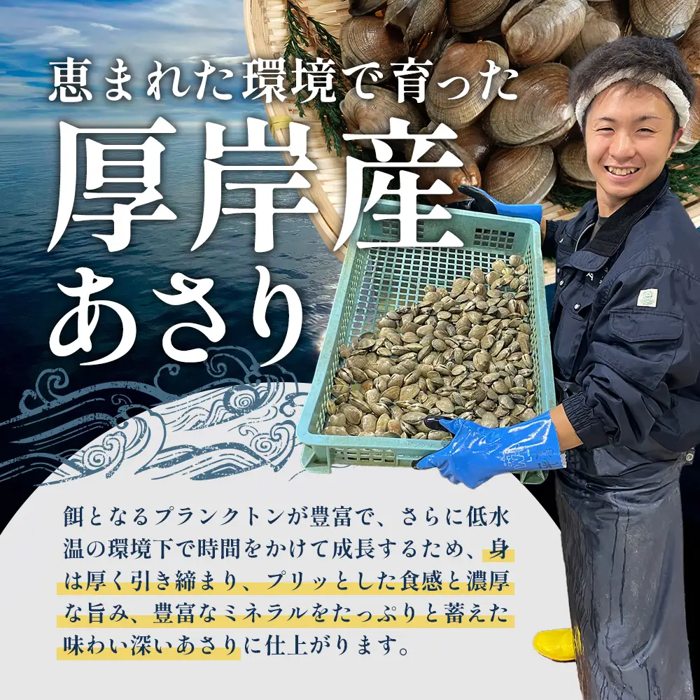 [4～6月発送]厚岸産 あさり 500g×3パック あさり
