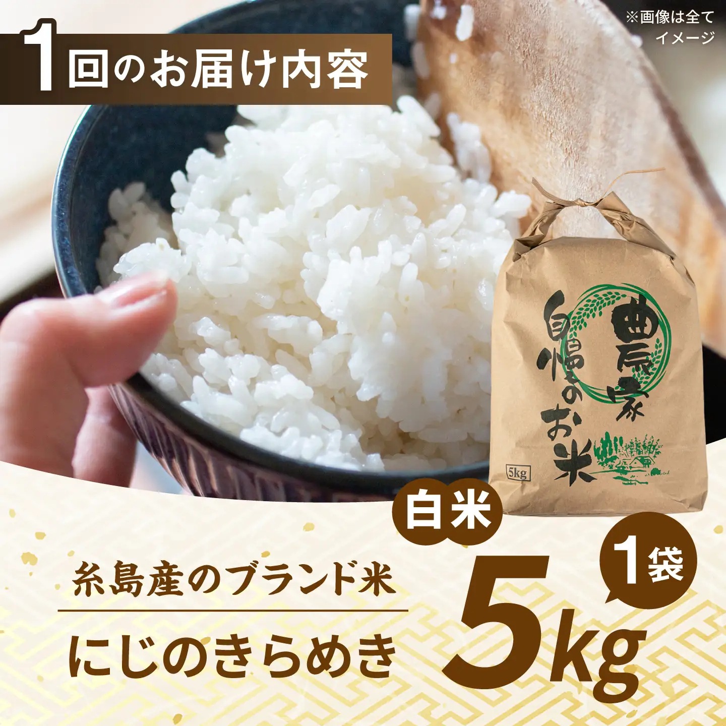 【先行受付】【全3回定期便】 にじのきらめき 白米 5kg 【2026年9月中旬以降順次発送】 糸島市産 糸島市 / 糸島の恵み コメ こめ ご飯[AGR015]