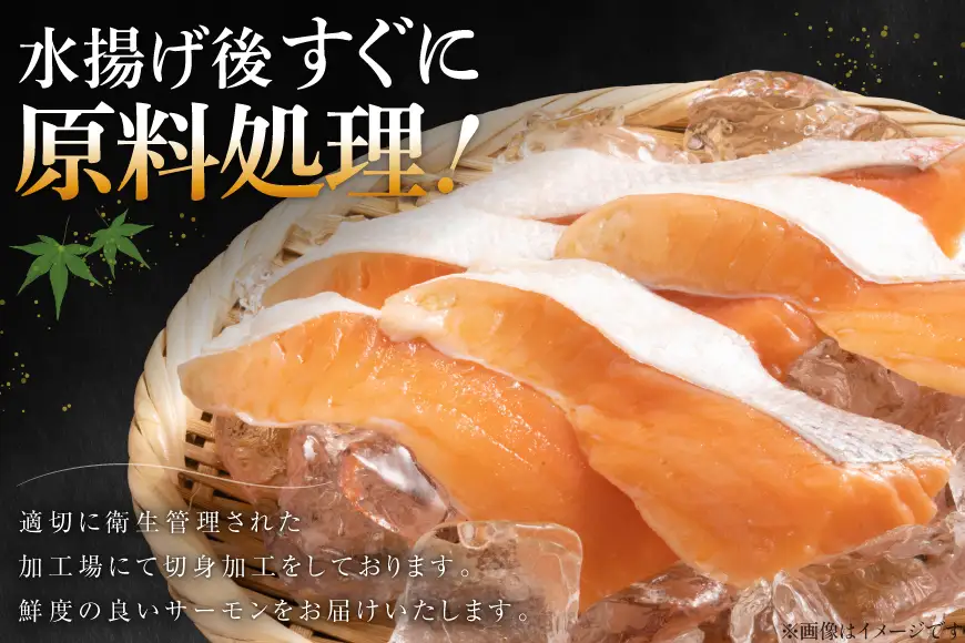 訳あり サーモン ハラス 鮭 切身 骨取り 皮なし 無塩 1.5kg 