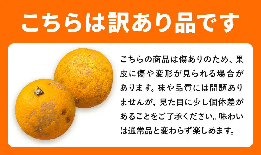 はっさく 訳あり 5kg 株式会社農業福祉研究機構