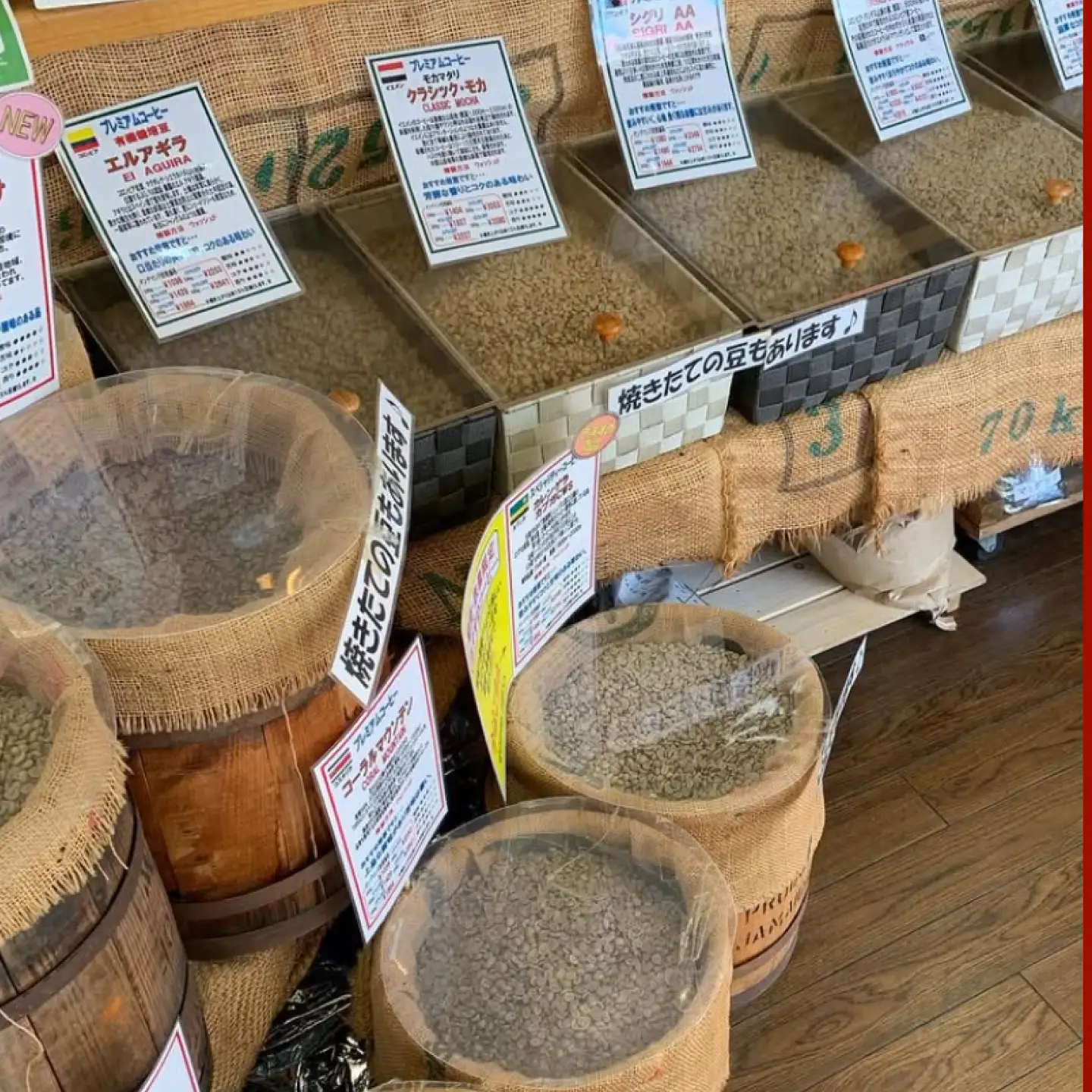 ドリップコーヒー 詰合せ 12g×24杯入り【株式会社はしもと茶舗 珈琲部 自家焙煎珈琲豆サニム】[AKIT001]