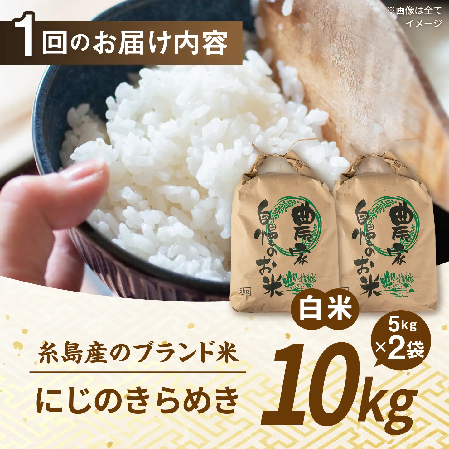 【先行受付】【全12回定期便】 にじのきらめき 白米 10kg 【2026年9月中旬以降順次発送】 糸島市産 糸島市 / 糸島の恵み コメ こめ ご飯[AGR020]