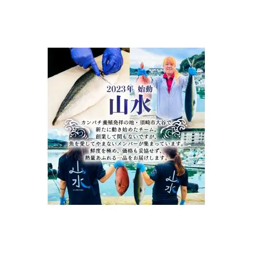高知県産 ぶりのたたき 300g ぶり たたき