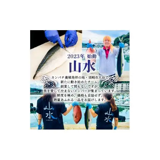 高知県産 ぶりのたたき 600g ぶり たたき