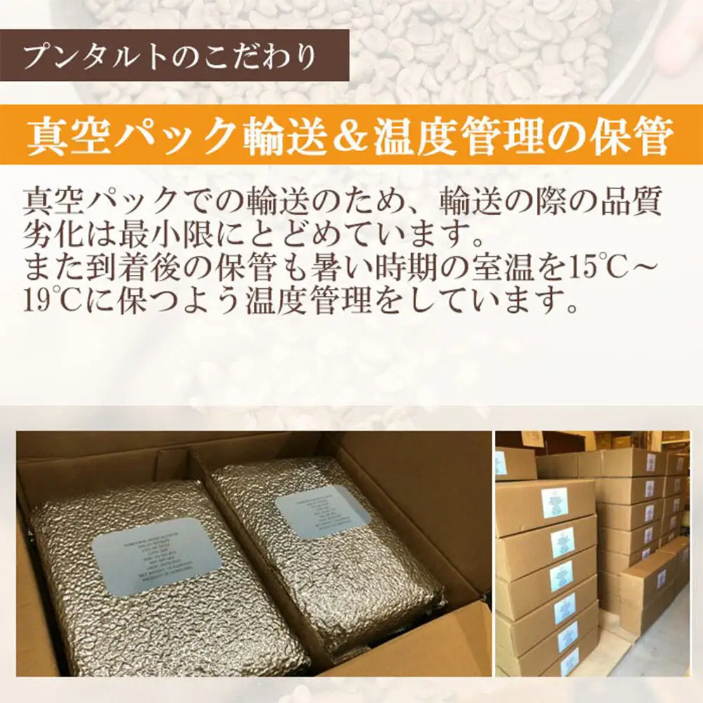 コーヒー粉 自家焙煎 ホンジュラス スペシャルティコーヒー 焙煎豆 200g 粗挽き【酸味系】 コーヒー粉