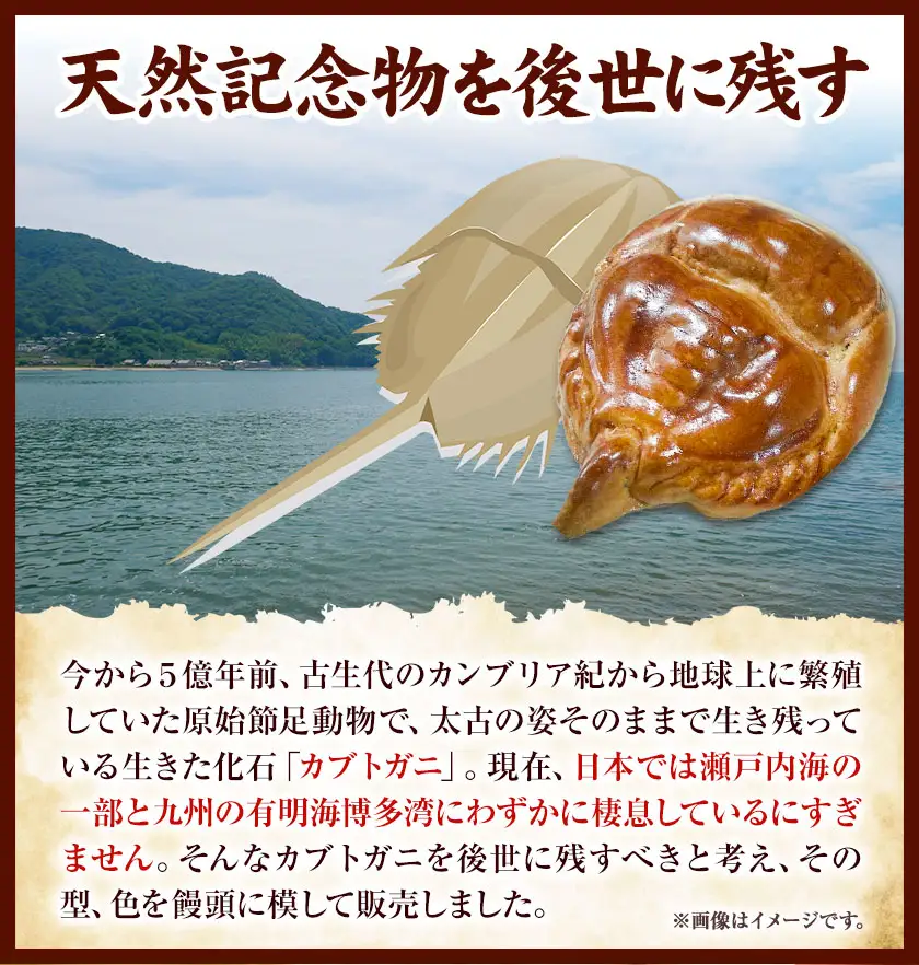 かぶとがにまんじゅう 中 8個 株式会社玉利軒 饅頭