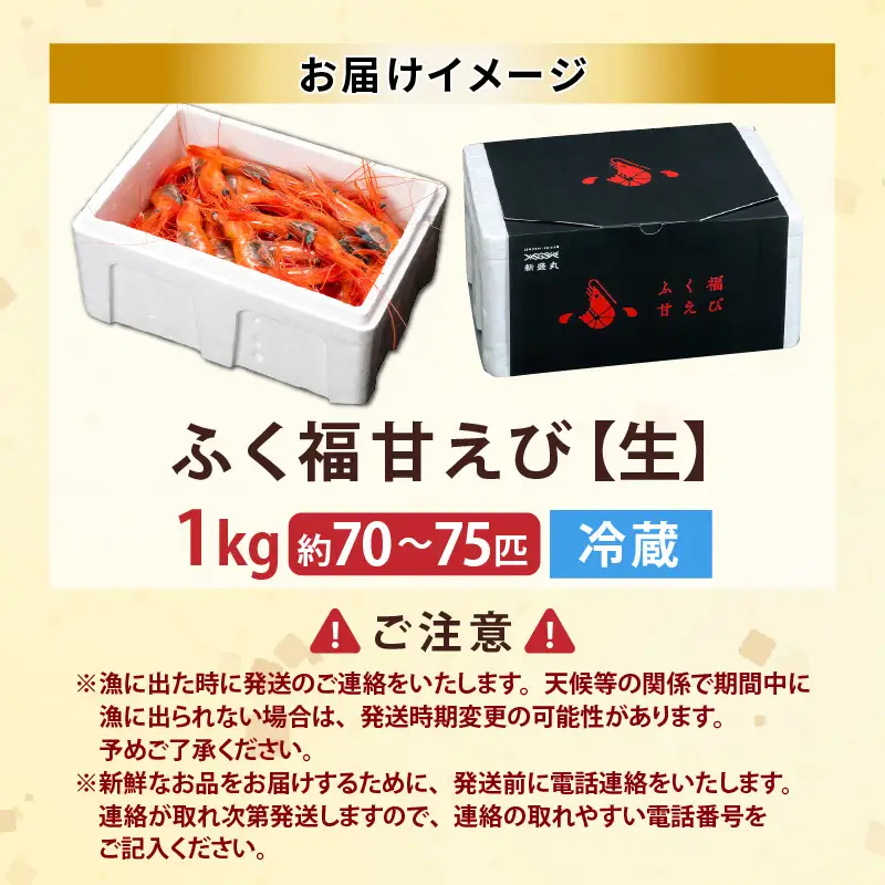 先行予約 新鮮 ふく福甘えび（生）1kg 2026年9月上旬以降順次発送予定 冷蔵発送 エビ 海老 [B-13503]