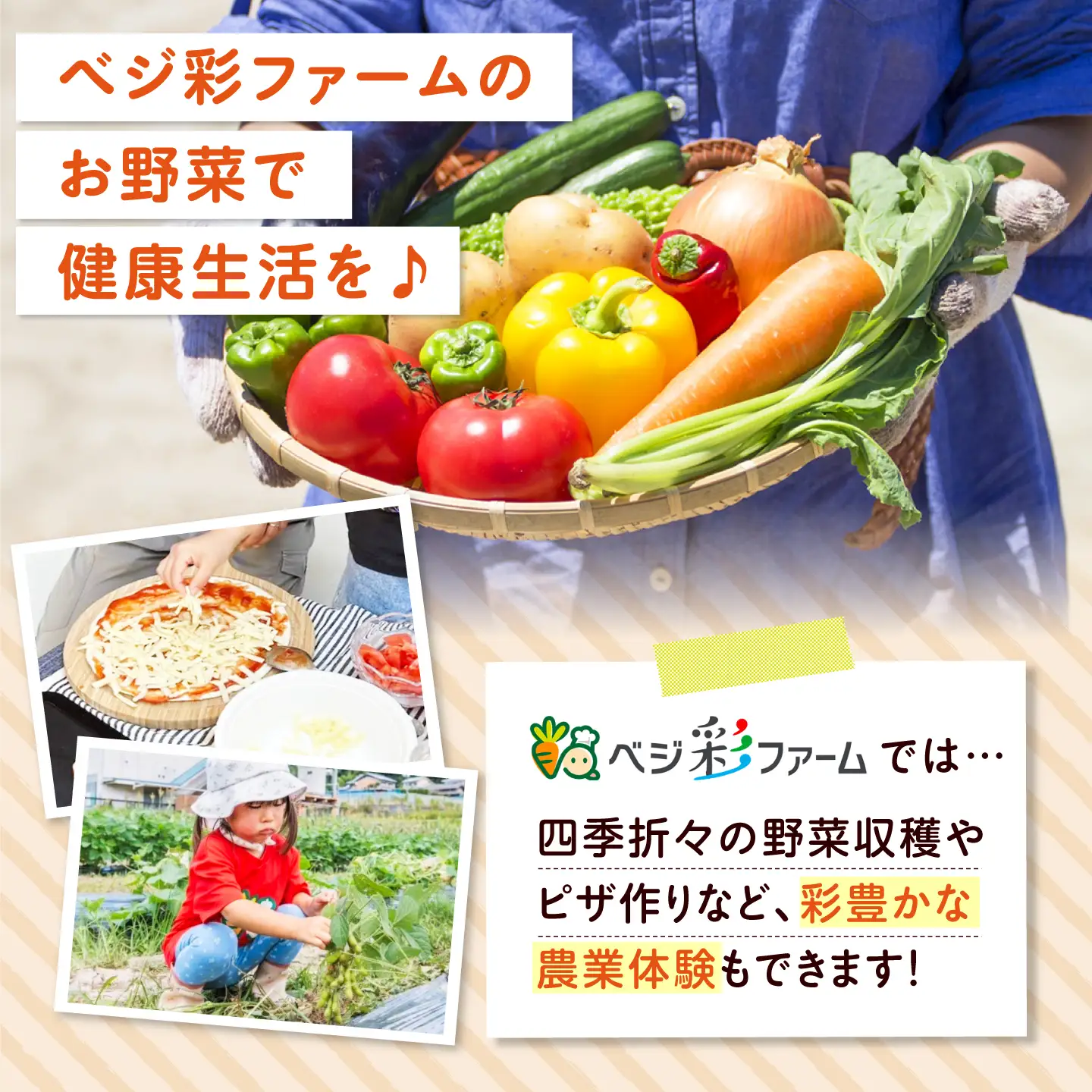 【全3回定期便/2026年10月以降発送】旬のお野菜3種類以上＆お米2kg＆平飼い卵セット 大阪府高槻市/ベジ彩ファーム[AOEJ016]
