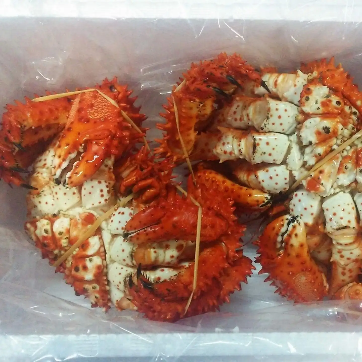 【北海道根室産】花咲ガニ2尾 計1.2kg前後 B-57031