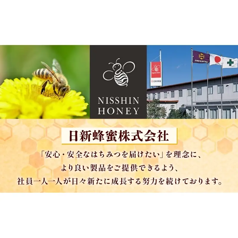 チューブ はちみつ ぴたハニー 寒天入り 80g×15本 蜂蜜 ハチミツ ハニー 垂れにくい チューブタイプ 手軽 エコ フードロス まろやか 便利 食卓 パン ヨーグルト フルーツ アイス パンに塗る パンのおともトッピング 日新蜂蜜 岐阜県 安八町
