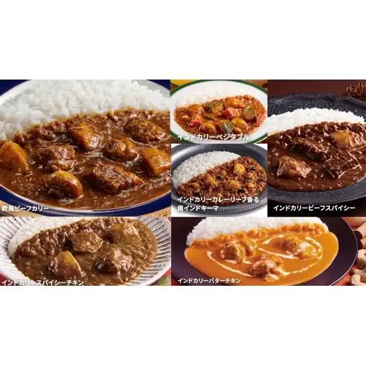 【 定期便 全2回 毎月 お届け 】 新宿 中村屋 レトルト カリー 食べ比べ セット 10種 13個入