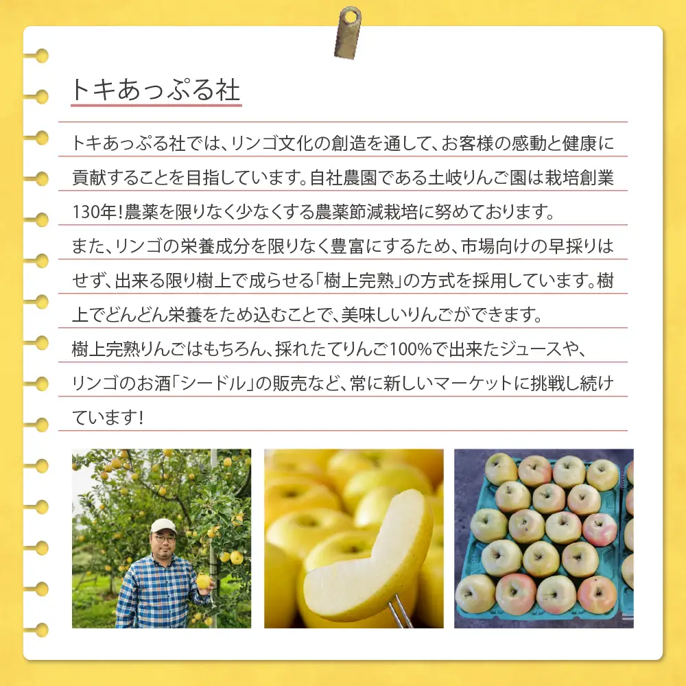 りんごジュース 甘さ控えめ 720ml×2本 GreenOcean りんごジュース