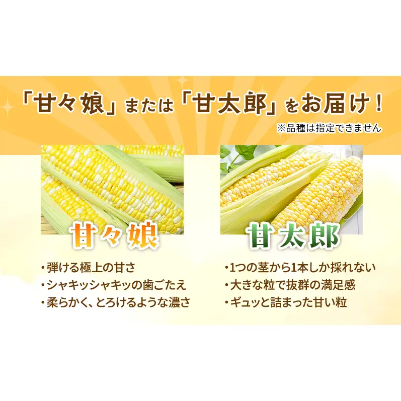 訳あり とうもろこし 先行予約 甘々娘 または 甘太郎 約4本～7本 家庭用 テルもろこし 先端カット済 個包装 レンジ調理 レンチン 旬 冷蔵配送 6月下旬頃より順次発送 静岡 浜松市【配送不可：離島】
