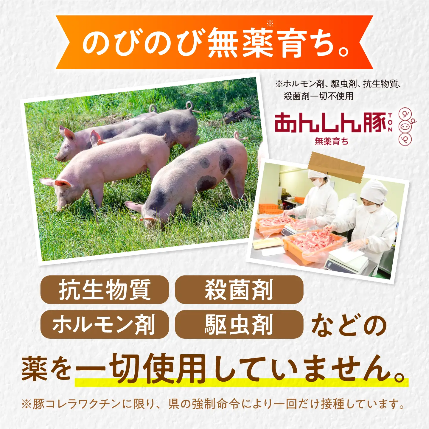 あんしん豚しゃぶしゃぶ＆定番農LANDBEERペアリングセット (4人～6人用) / 豚肉 しゃぶしゃぶ ビール クラフトビール 白川町 / Sunpo[AWBC026]