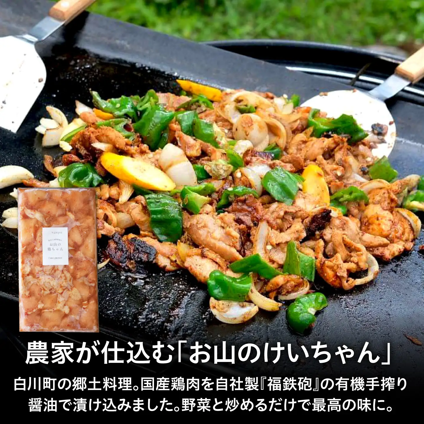 あんしん豚・鶏ちゃん 焼肉・BBQセット＆定番農LANDBEERペアリングセット (4人～6人用) / 豚肉 焼肉 味付き 鶏肉 ビール クラフトビール 白川町 / Sunpo[AWBC030]