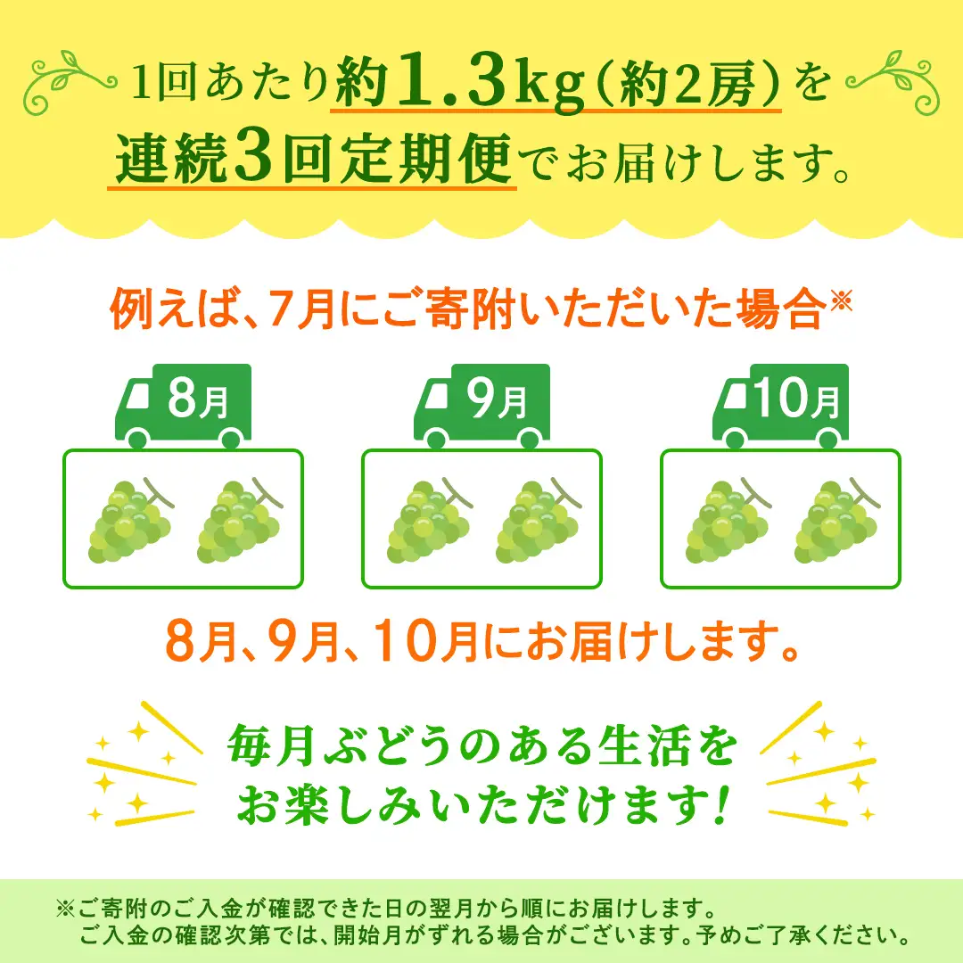 【定期便】3か月連続でお届け！ シャインマスカット 約1.3kg（約2房）【2026年8月から発送開始】（茨城県共通返礼品 [ぶどう]：結城市産）