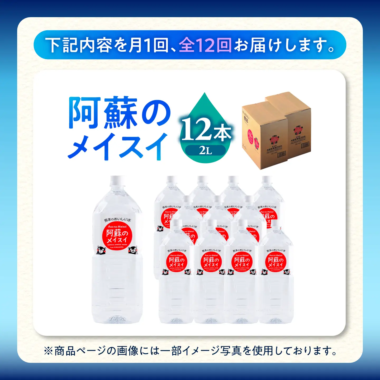 【全12回定期便】熊本 阿蘇のメイスイ 2L × 6本 2ケース（計12本） 天然水 水 ミネラルウォーター 保存 2年 【丸富産業株式会社】[AYDB030]