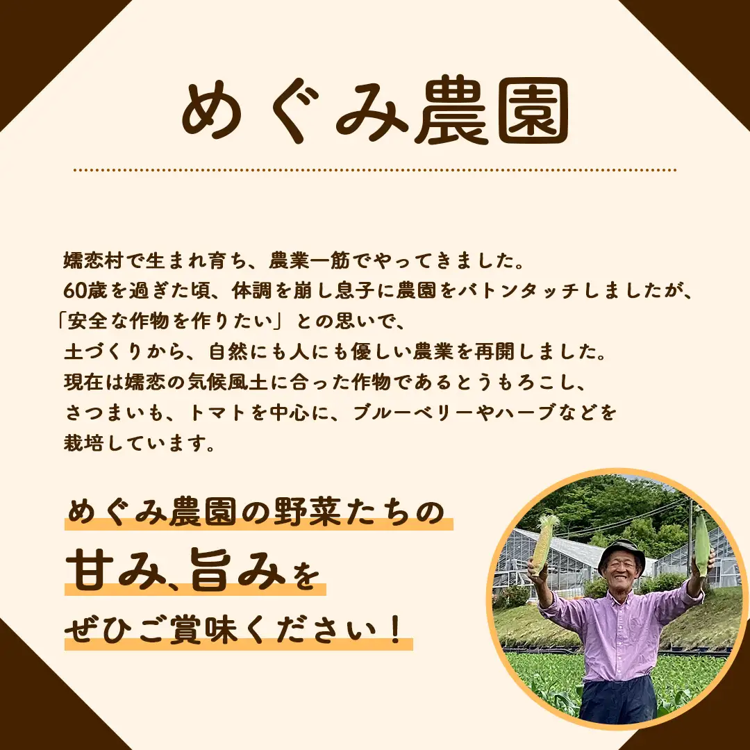 嬬恋村 の 農園 アイス 食べ比べセット 6個入（ さつまいも ・ ブルーベリー 各3個 ） [AT022tu]