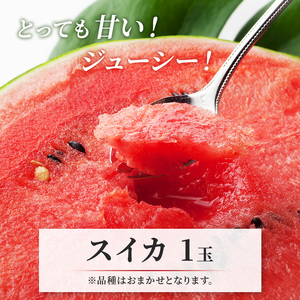 【2026年7月下旬頃より発送】すいか メロン 各1玉 セット すいか 大玉 Lサイズ 