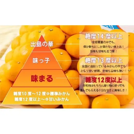 【 早期受付 】西海みかん 味まる 3kg 糖度12度以上 ブランドみかん 佐世保 【 12月発送 】