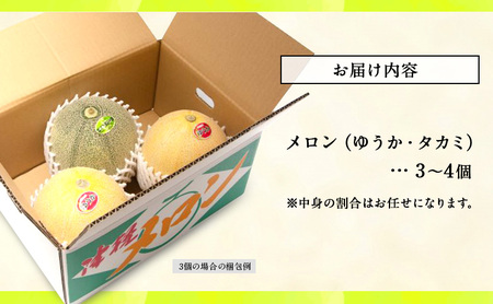 【先行予約】メロン 3～4玉 ゆうか タカミ メロン
