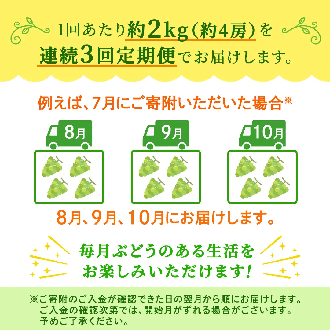【定期便】3か月連続でお届け！ シャインマスカット 約2kg（約4房）【2026年8月から発送開始】（茨城県共通返礼品 [ぶどう]：結城市産）