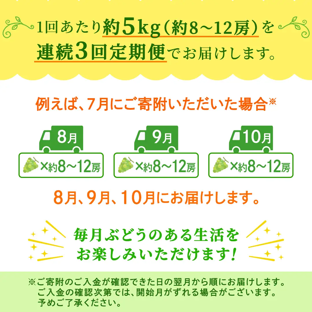 【定期便】3か月連続でお届け！ シャインマスカット 約5kg（約8～12房）【2026年8月から発送開始】（茨城県共通返礼品 [ぶどう]：結城市産）
