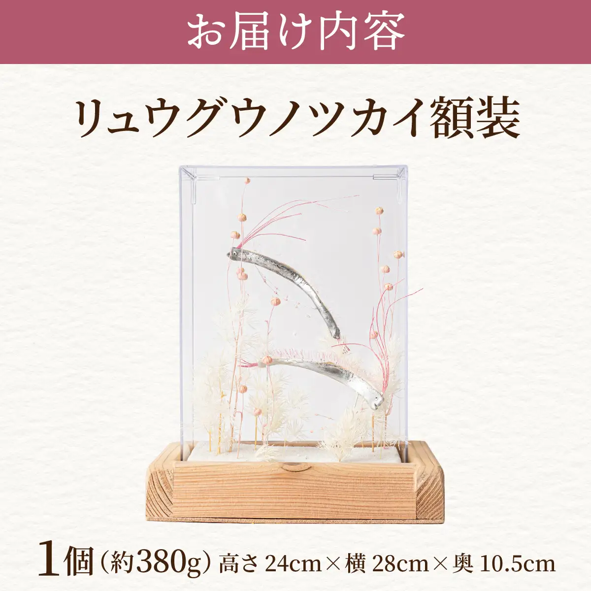リュウグウノツカイ額装
