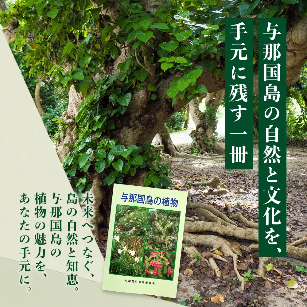 「与那国島の植物」図鑑 AH-3