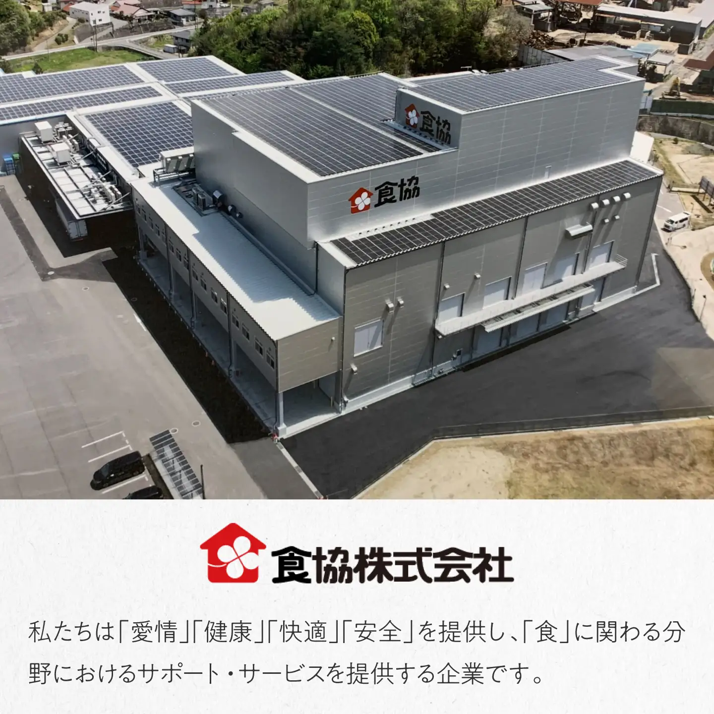 こしひかり 10kg 三次市 / 食協株式会社[APDK005]こしひかり