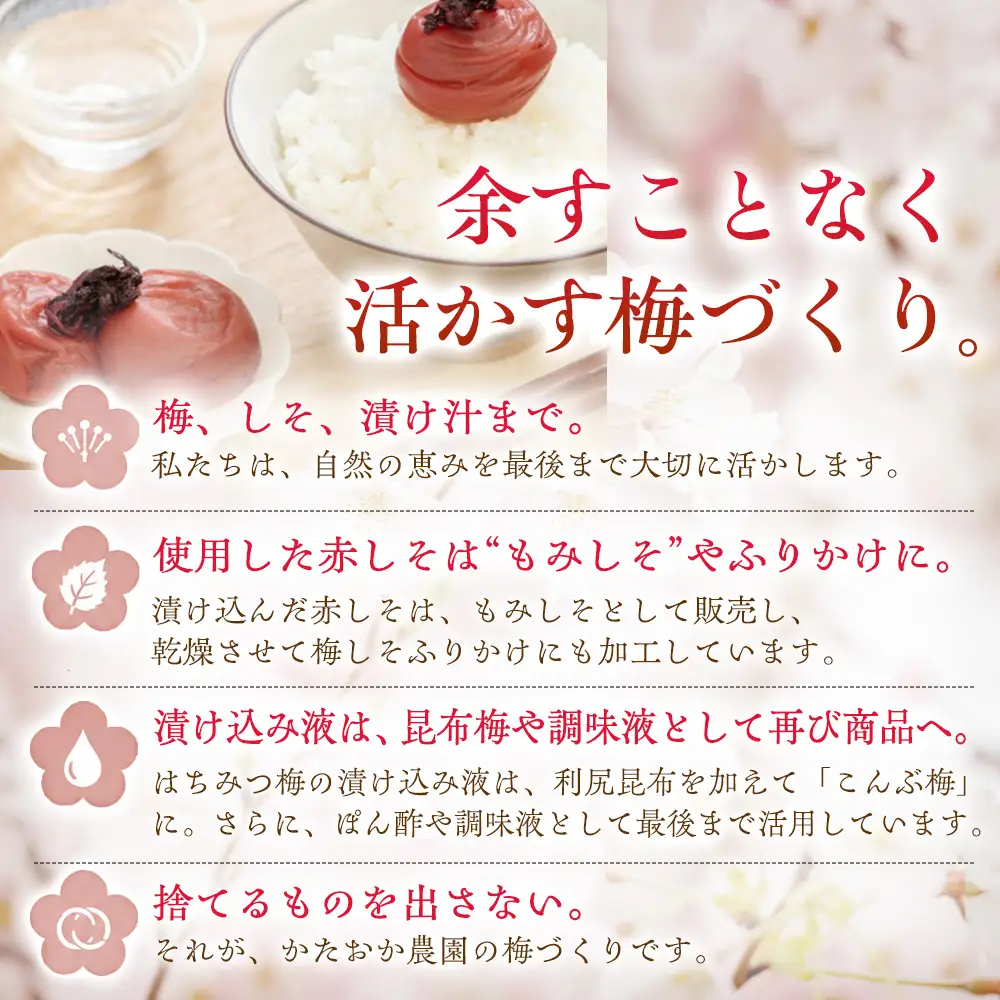 【2026年6月以降発送予定】 昔ながらの塩が効いた梅干し からっからかなりしょっぱ梅（450g） ｜梅干し 梅干 無添加 無着色 自家栽培 国産 みなべ産 手作り こだわり 家庭用【ktok008】